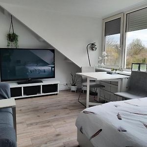 Studio 76 Groningen Met Gratis Leenfietsen